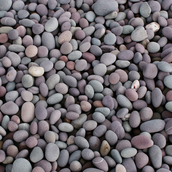 River Black