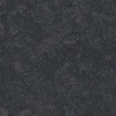 Fossil Black